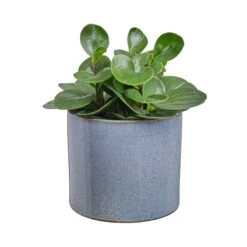 GLAZE Blumentopf Ø17cm -Wohnstil Angebote Store 10222088 1