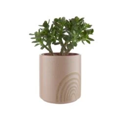 HAPPY RAINBOW Blumentopf Ø14cm -Wohnstil Angebote Store 10224336 1