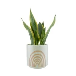 Wohnstil Angebote Store -Wohnstil Angebote Store 10224337 1