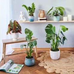 Wohnstil Angebote Store -Wohnstil Angebote Store 10224658 1