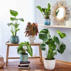 ROME Blumentopf Ø15cm -Wohnstil Angebote Store 10224658 4