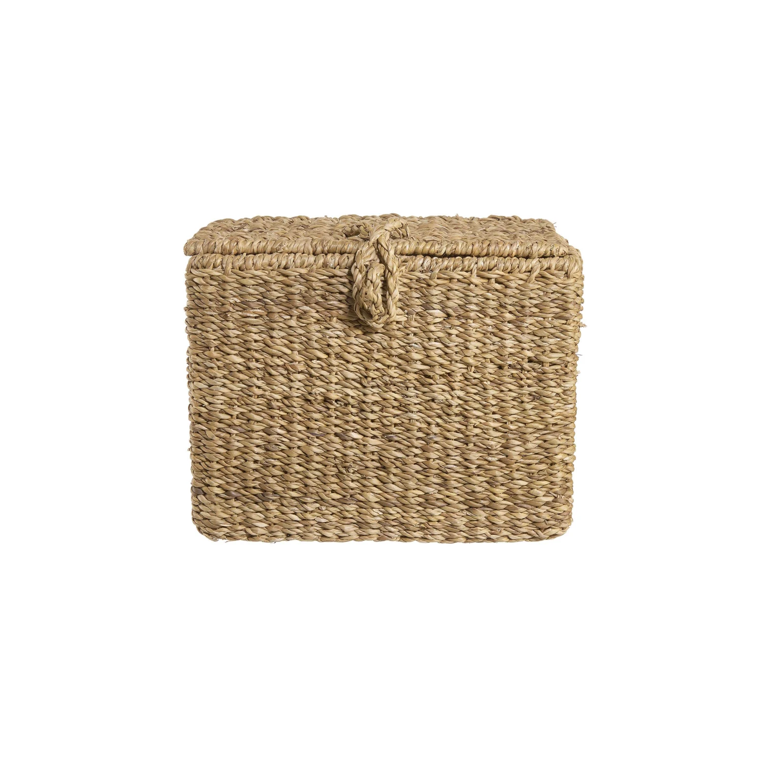 ERLA Truhe Rechteckig L 36 X B 21cm 2 ERLA Truhe Rechteckig L 36 X B 21cm – Bild 2