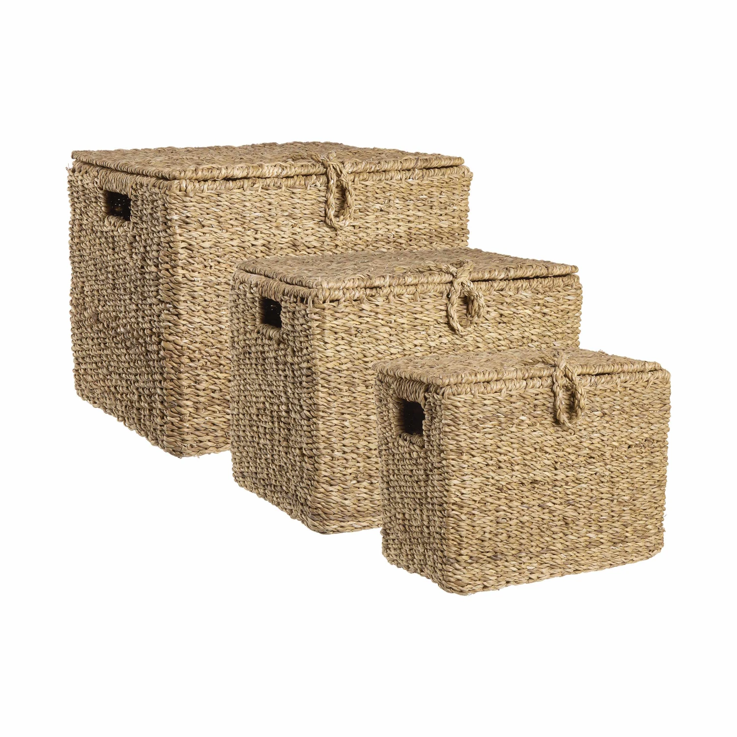 ERLA Truhe Rechteckig L 36 X B 21cm 5 ERLA Truhe Rechteckig L 36 X B 21cm – Bild 5