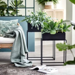 PLANTA Pflanzkasten Mit Gestell B 45 X T 21cm -Wohnstil Angebote Store 10226170 1