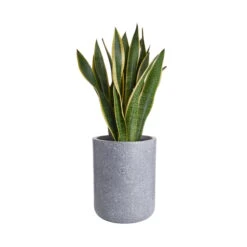 CONCRETE Pflanztopf Outdoor Höhe 32cm 6 CONCRETE Pflanztopf Outdoor Höhe 32cm -Wohnstil Angebote Store 10226302 2